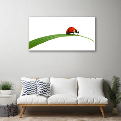 Canvas print Ladybug floral black red green