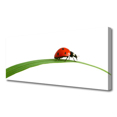 Canvas print Ladybug floral black red green