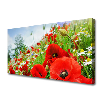 Canvas print Flowers nature red green