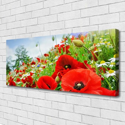 Canvas print Flowers nature red green