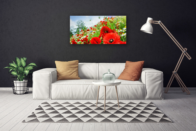 Canvas print Flowers nature red green