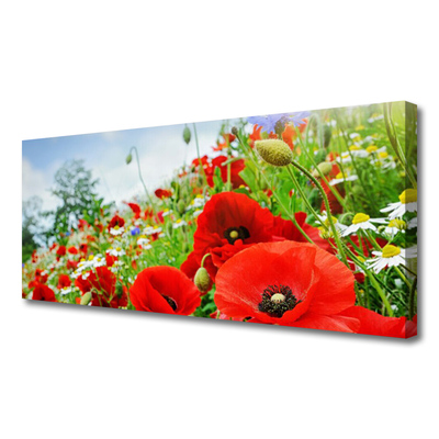 Canvas print Flowers nature red green