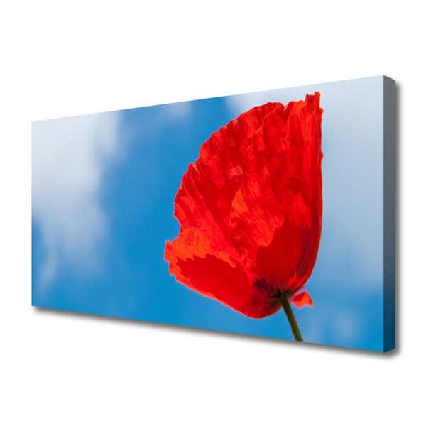 Canvas print Tulip floral red blue