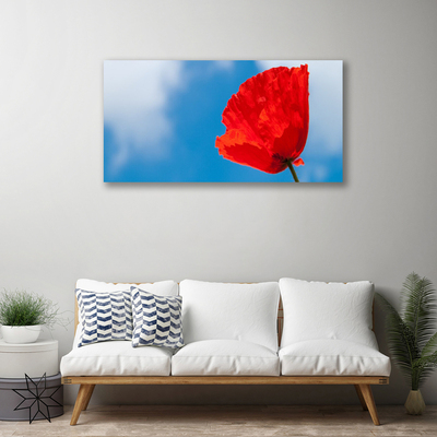 Canvas print Tulip floral red blue