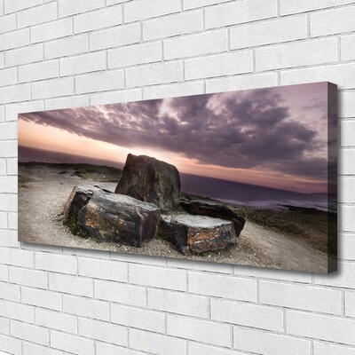 Canvas print Rock landscape grey pink