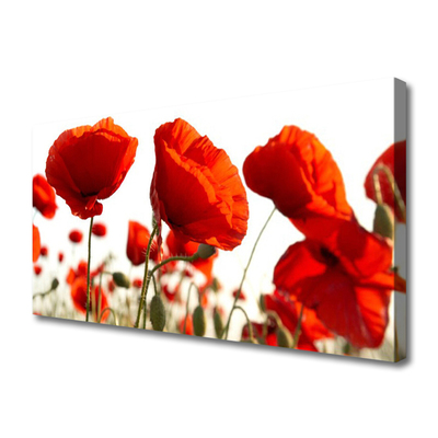 Canvas print Tulips floral red white