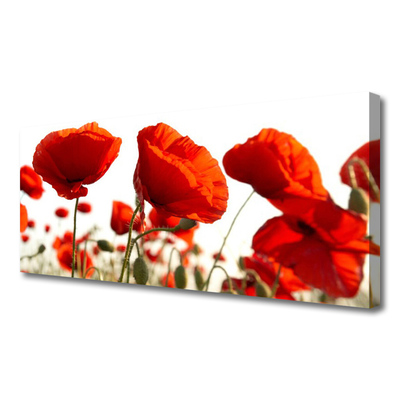 Canvas print Tulips floral red white