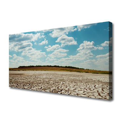 Canvas print Desert landscape grey green