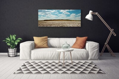 Canvas print Desert landscape grey green