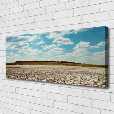 Canvas print Desert landscape grey green