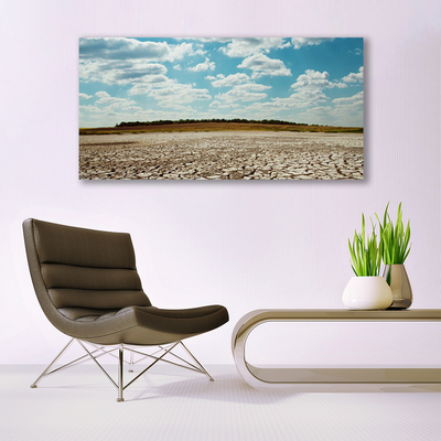 Canvas print Desert landscape grey green