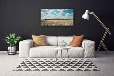 Canvas print Desert landscape grey green