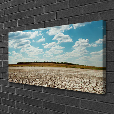 Canvas print Desert landscape grey green