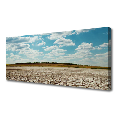 Canvas print Desert landscape grey green