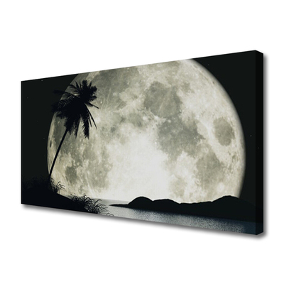 Canvas print Night moon palm landscape black grey white