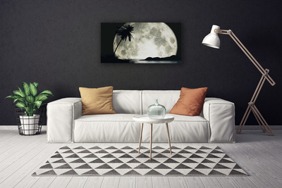 Canvas print Night moon palm landscape black grey white