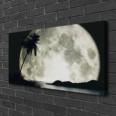 Canvas print Night moon palm landscape black grey white