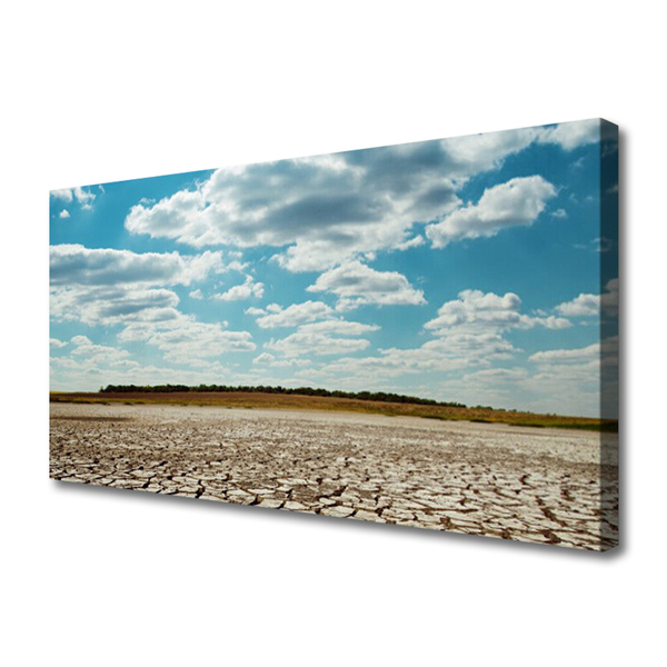 Canvas print Desert landscape grey green