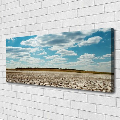 Canvas print Desert landscape grey green