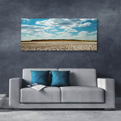 Canvas print Desert landscape grey green