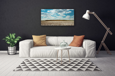 Canvas print Desert landscape grey green