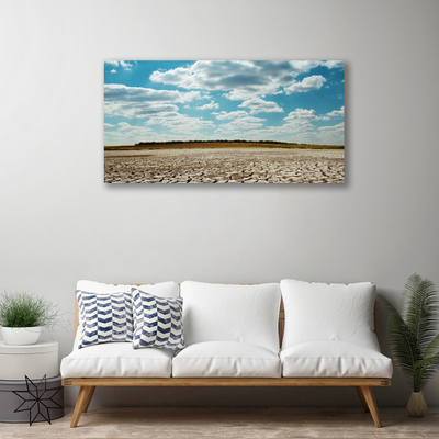 Canvas print Desert landscape grey green