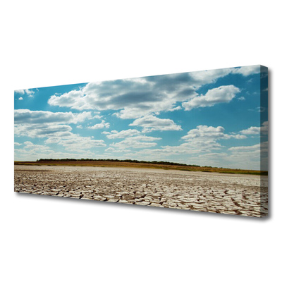 Canvas print Desert landscape grey green