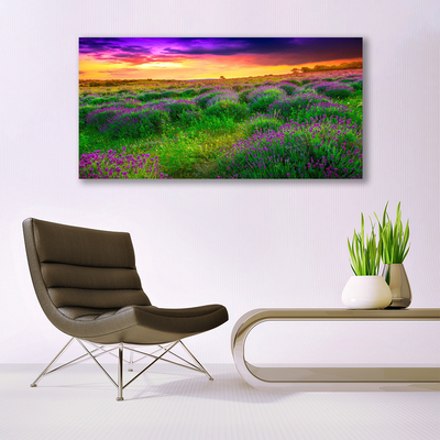Canvas print Meadow nature pink purple green yellow