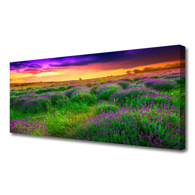 Canvas print Meadow nature pink purple green yellow