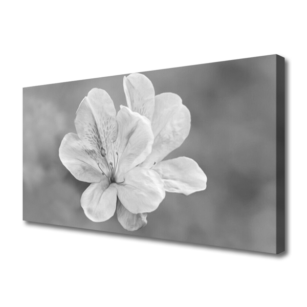 Canvas print Flowers floral white grey
