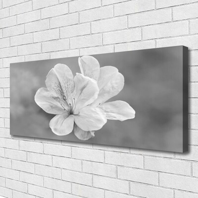 Canvas print Flowers floral white grey