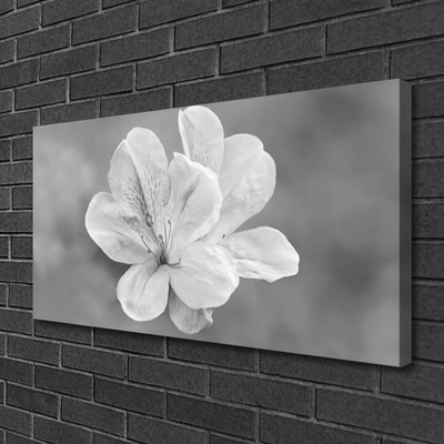 Canvas print Flowers floral white grey
