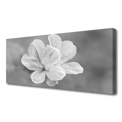 Canvas print Flowers floral white grey