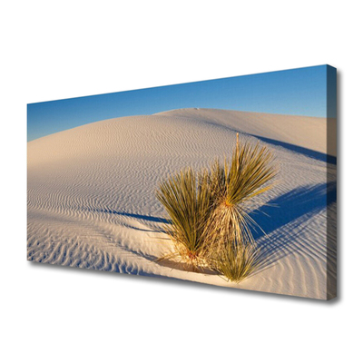 Canvas print Desert landscape brown green