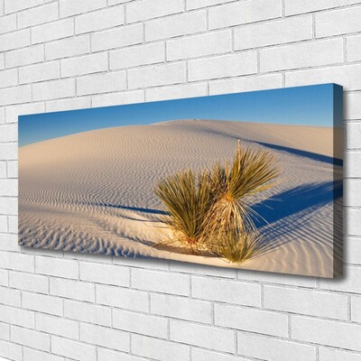 Canvas print Desert landscape brown green