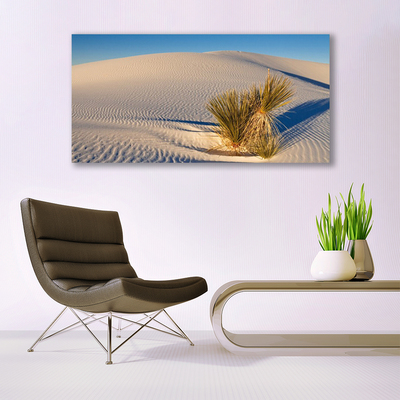 Canvas print Desert landscape brown green