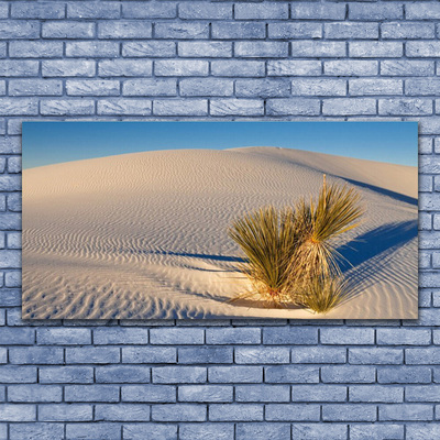 Canvas print Desert landscape brown green