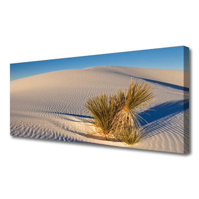 Canvas print Desert landscape brown green