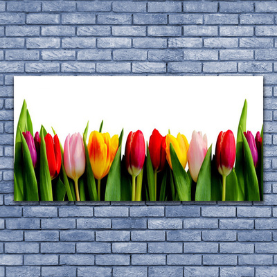 Canvas print Tulips floral red pink yellow green