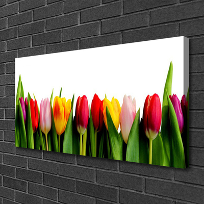 Canvas print Tulips floral red pink yellow green