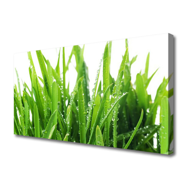 Canvas print Grass floral green