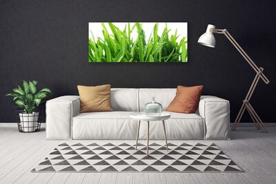 Canvas print Grass floral green