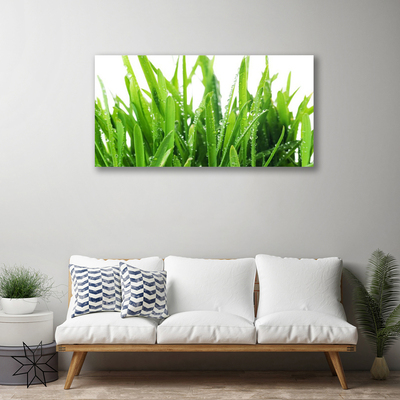 Canvas print Grass floral green