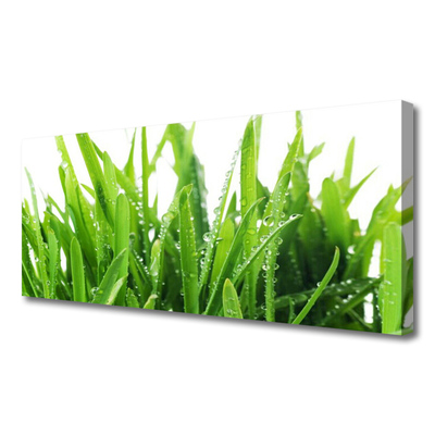 Canvas print Grass floral green