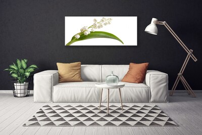 Canvas print Flowers floral white green