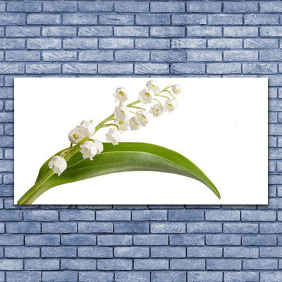 Canvas print Flowers floral white green