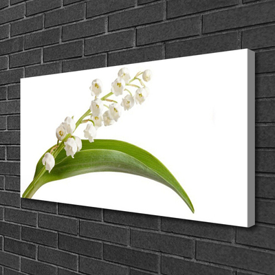 Canvas print Flowers floral white green