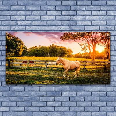 Canvas print Horse meadow animals green brown