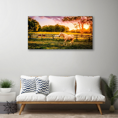 Canvas print Horse meadow animals green brown