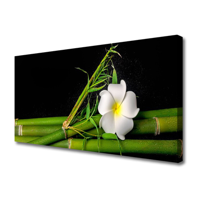 Canvas print Bamboo flower floral white green